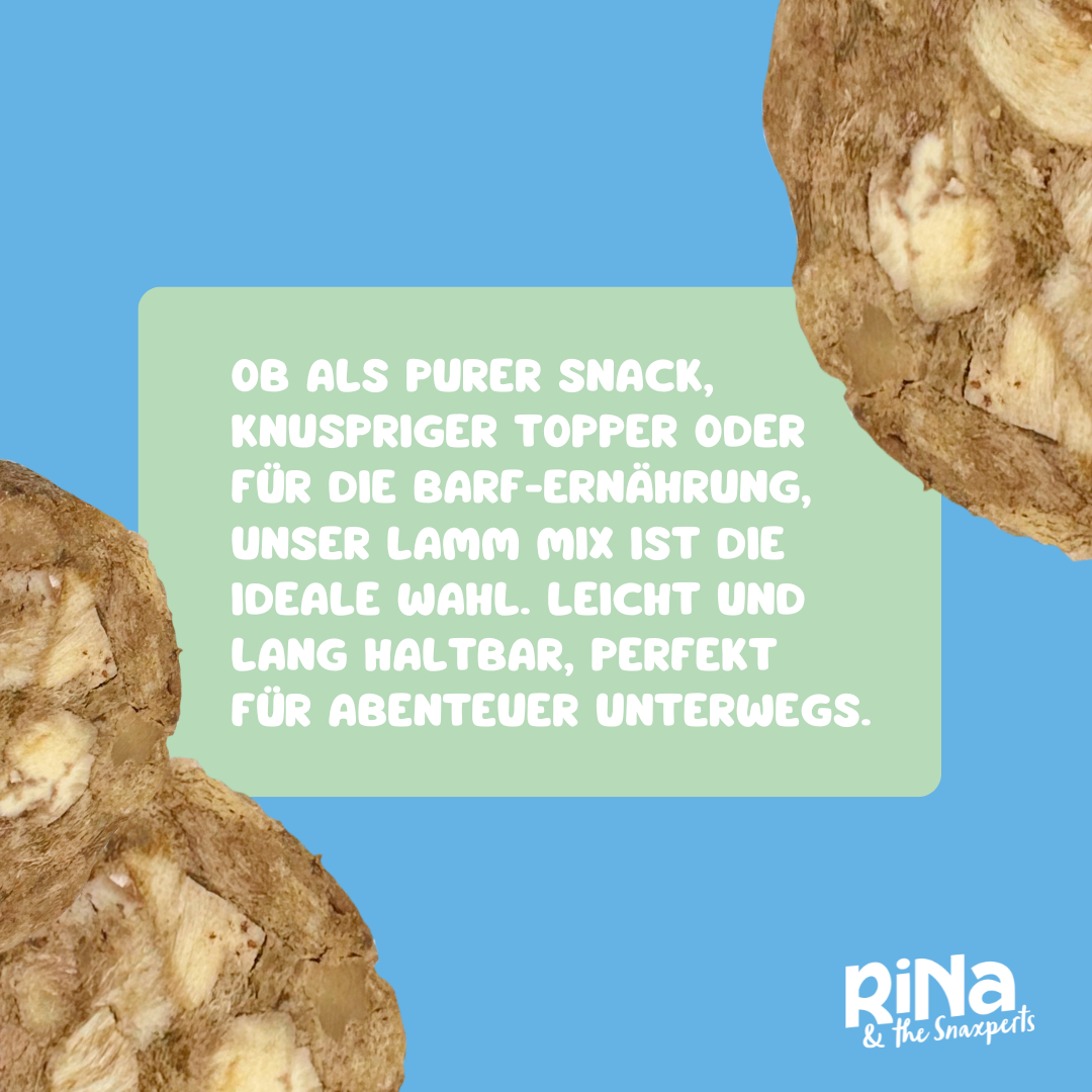 RiNa`s 100% Lamm Mix - Gefriergetrocknete Hundesnack 110g