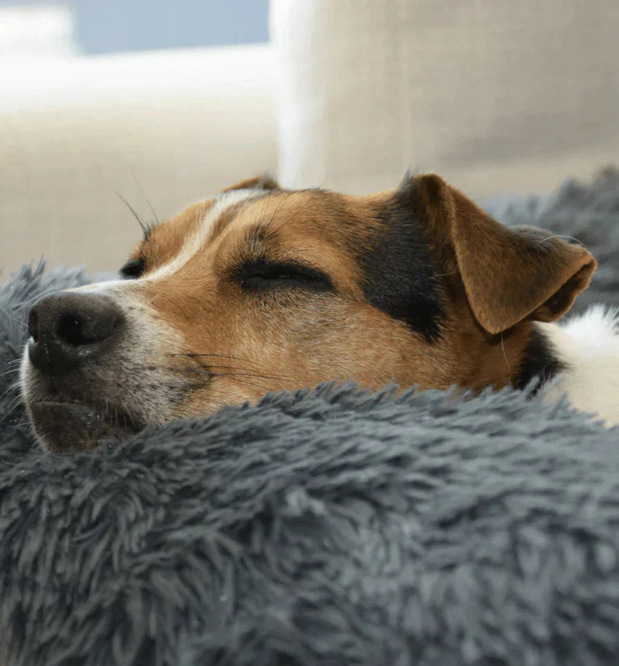 Beruhigender Möbelprotektor