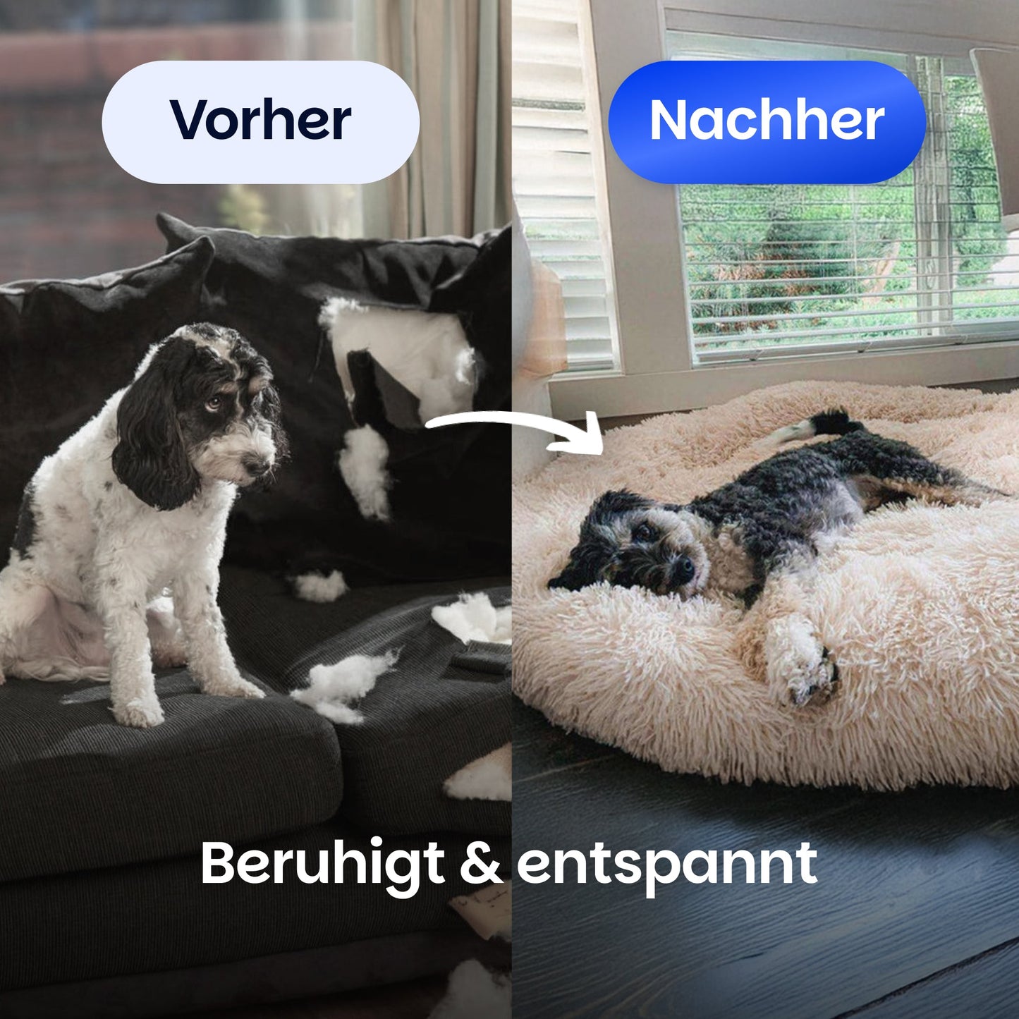 Beruhigendes Hundebett