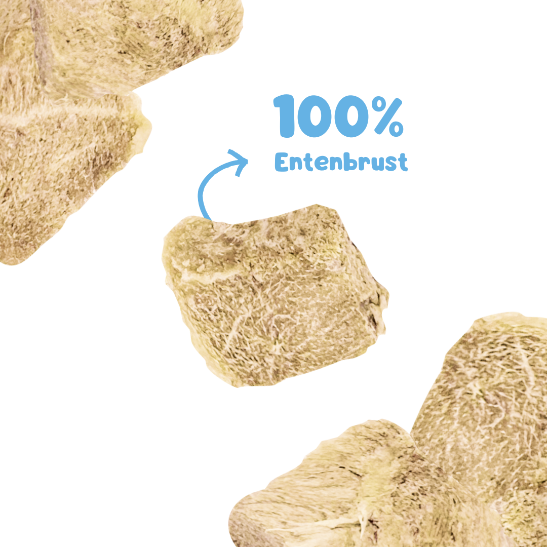 RiNa`s PREMIUM-Hundesnacks - 4in1 Probierpaket 380g