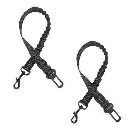 Hund Sicherheitsgurt