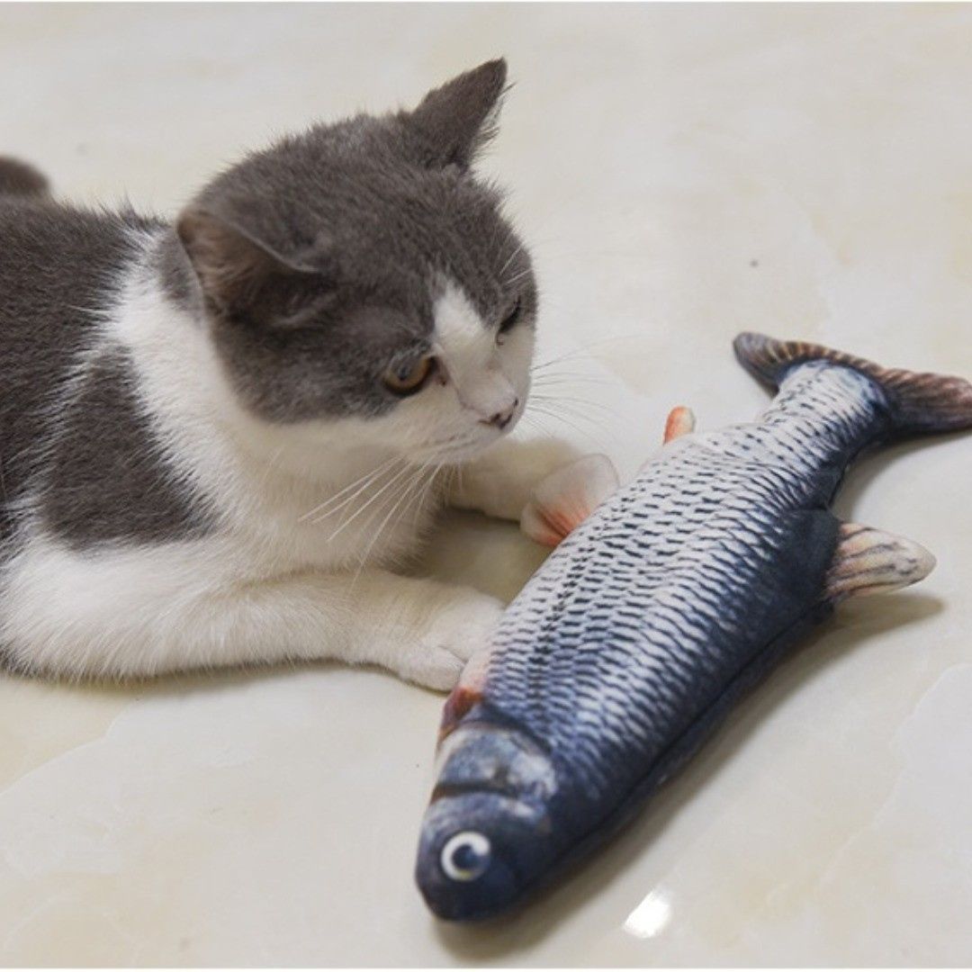 Tanzender Fisch Katzenspielzeug