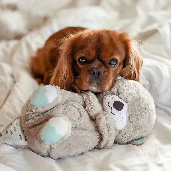 Der Erleichterungsotter