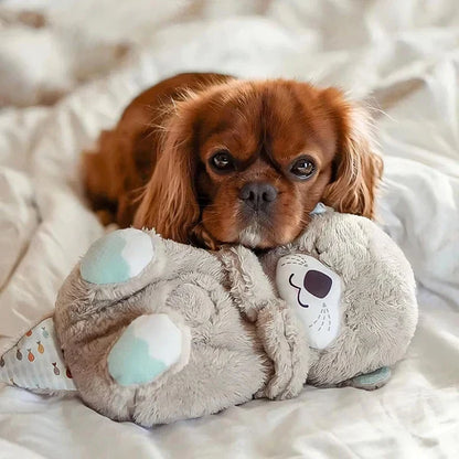 Der Erleichterungsotter