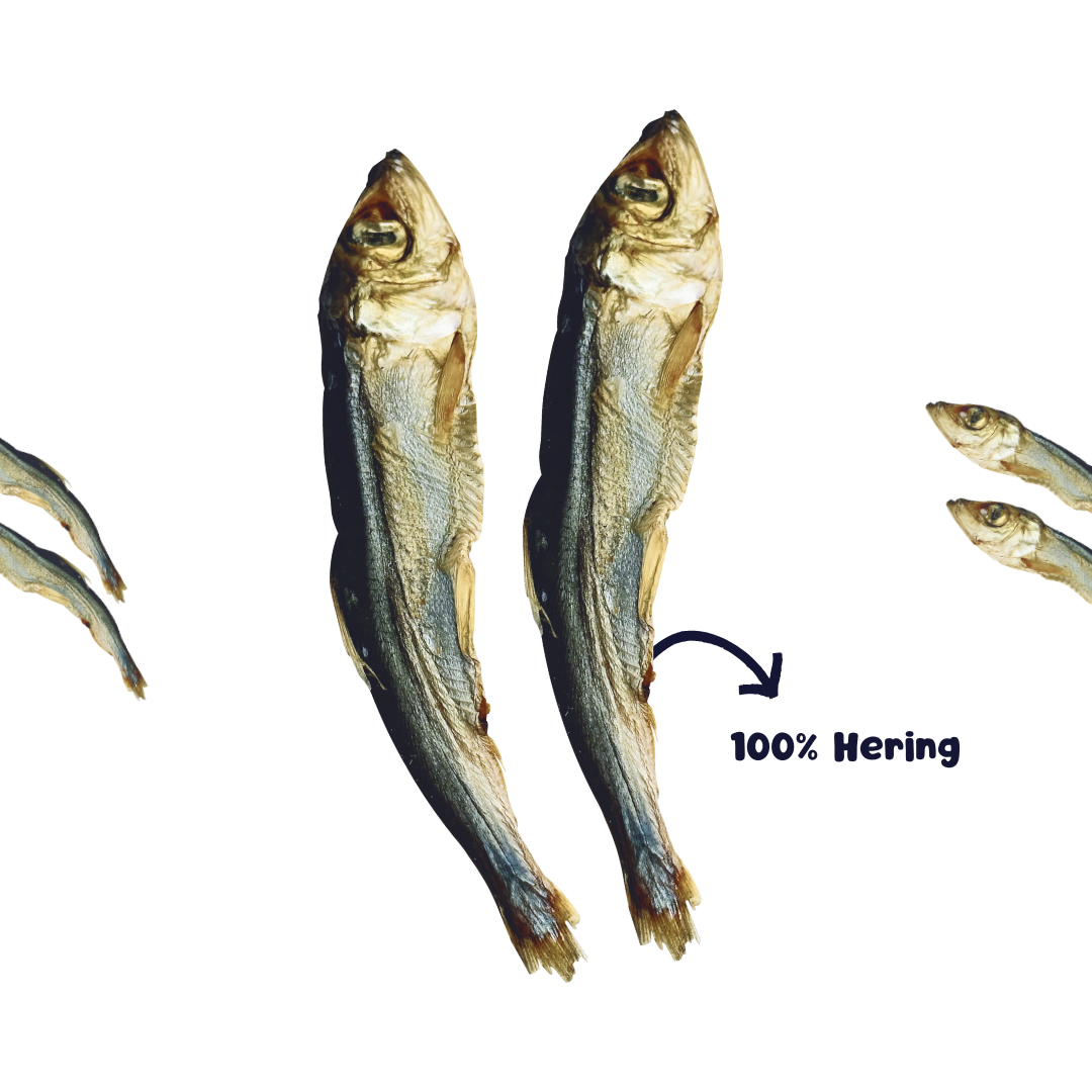 RiNa`s Hering - Natürlicher Fischsnack für Hunde 110g