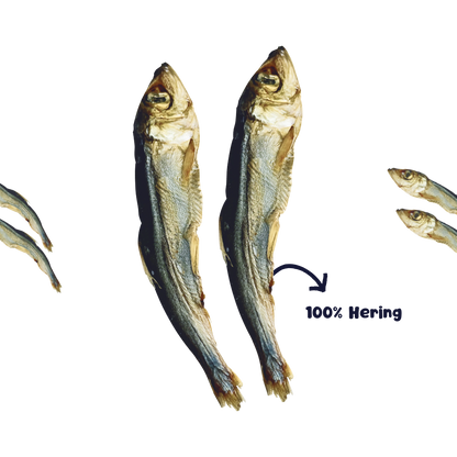 RiNa`s Hering - Natürlicher Fischsnack für Hunde 110g