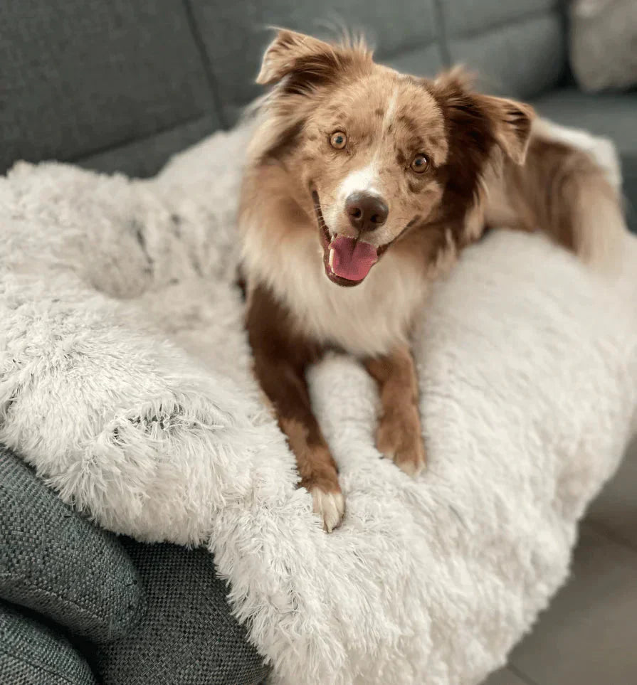 Beruhigender Möbelprotektor