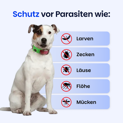Floh- und Zeckenschutz Halsband