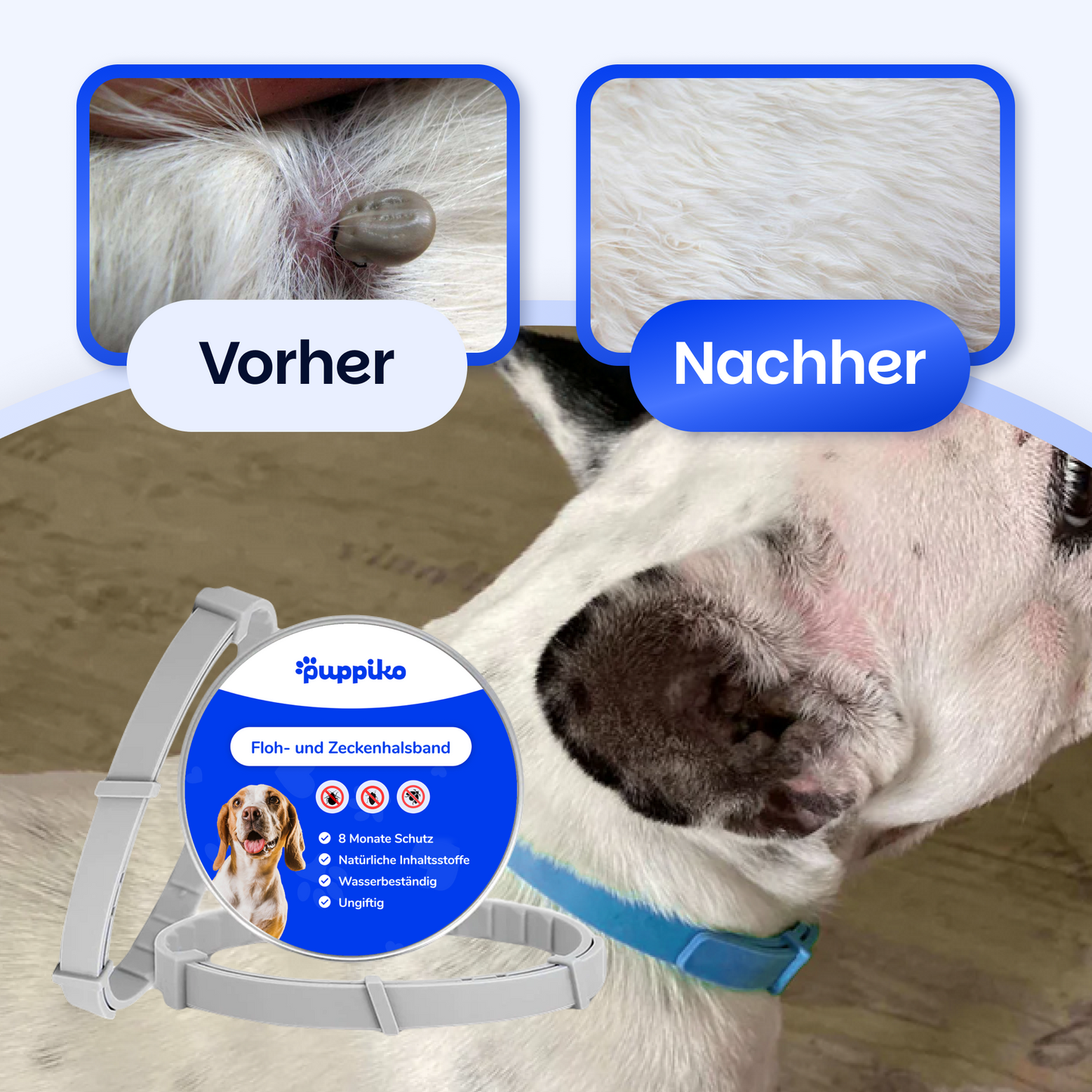 Floh- und Zeckenschutz Halsband