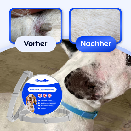 Floh- und Zeckenschutz Halsband