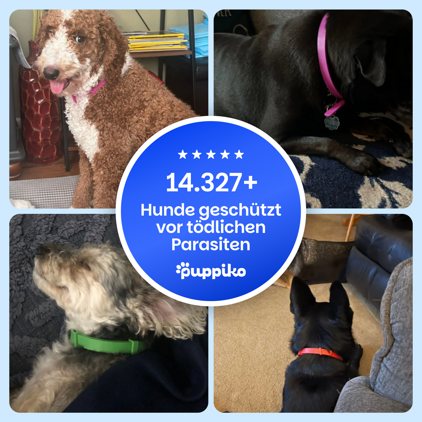 Floh- und Zeckenschutz Halsband