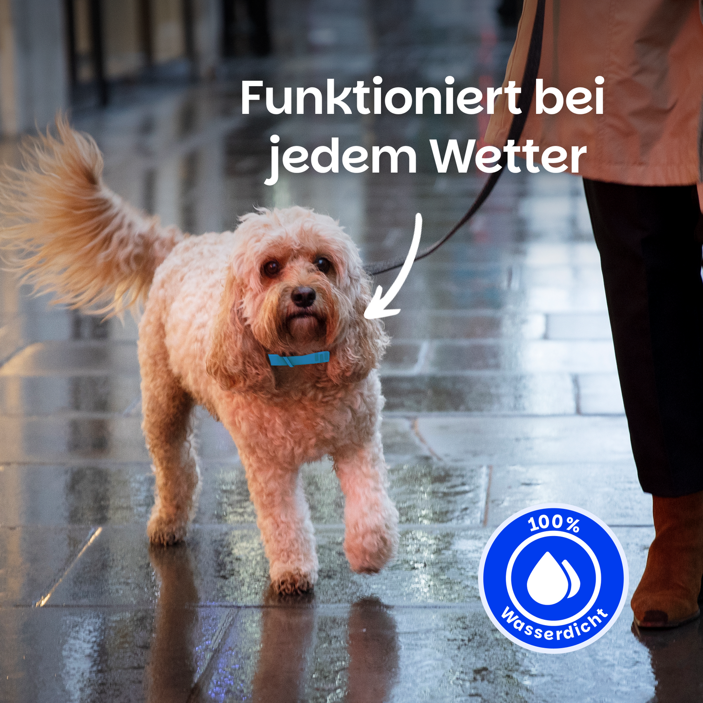 Floh- und Zeckenschutz Halsband