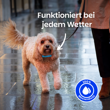 Floh- und Zeckenschutz Halsband