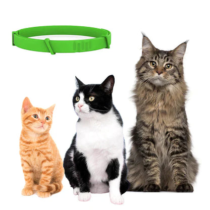 Floh- und Zeckenschutz Halsband