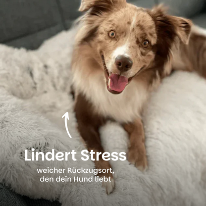 Beruhigender Möbelprotektor