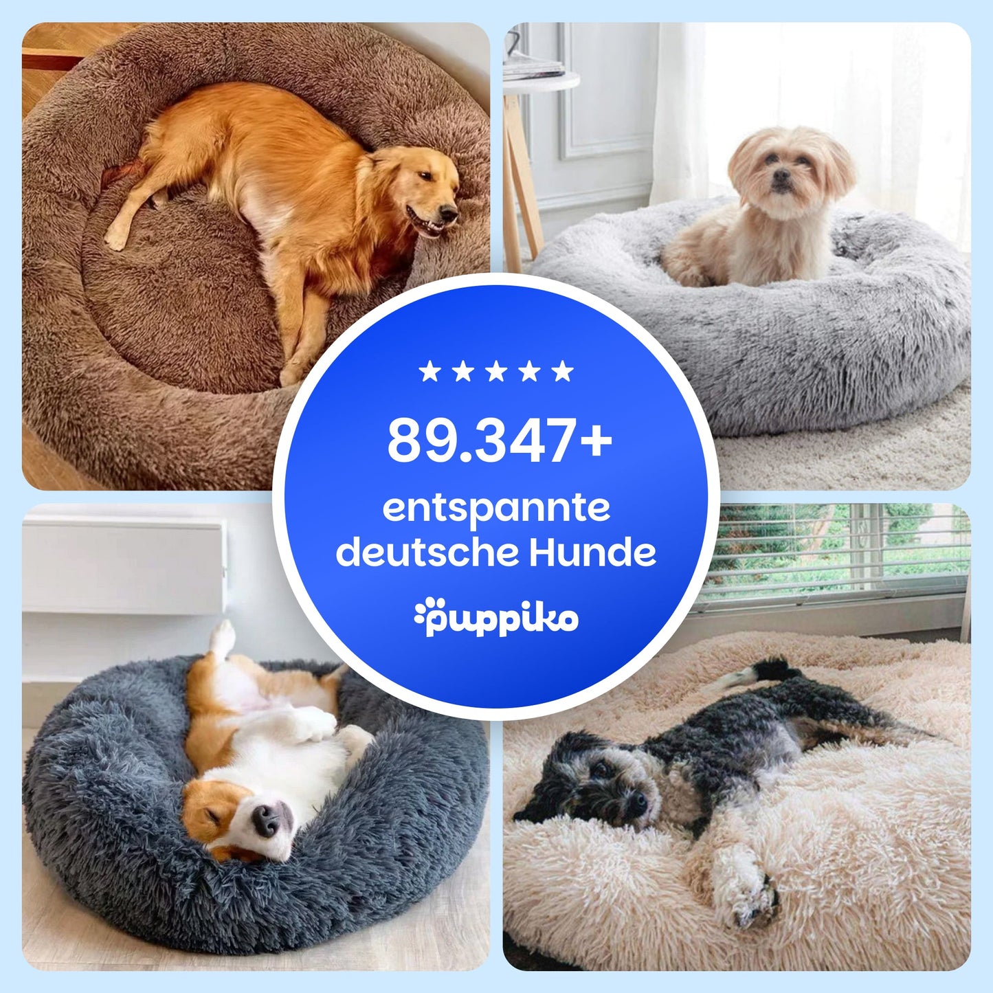 Beruhigendes Hundebett