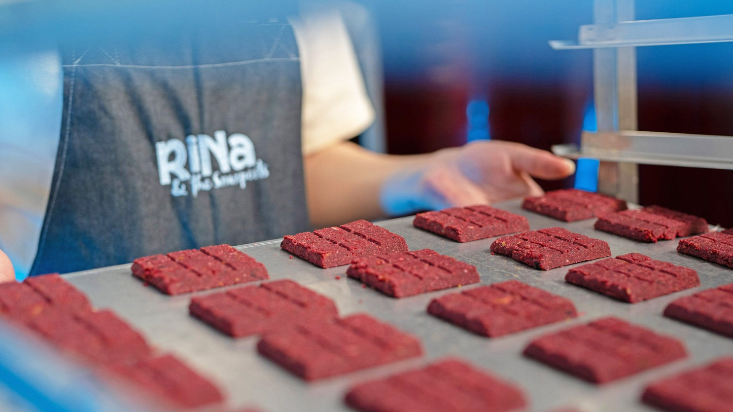 RiNa`s WILD WONDER - Wildfleisch - 10er Gourmet-Riegelbox 300g