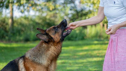 RiNa`s WILD WONDER - Wildfleisch - 10er Gourmet-Riegelbox 300g