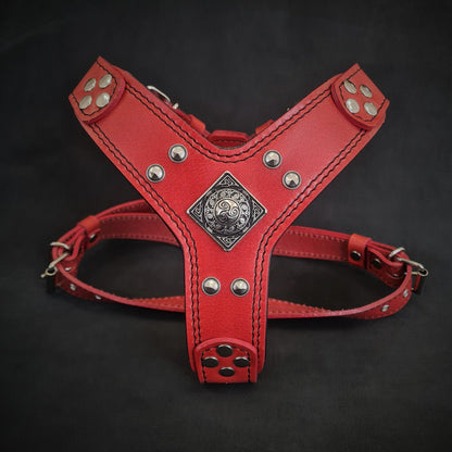 The ''Eros'' harness red Small to Medium Size