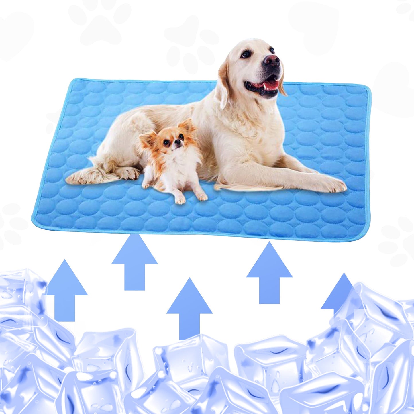 Premium Kühlmatte für Hunde